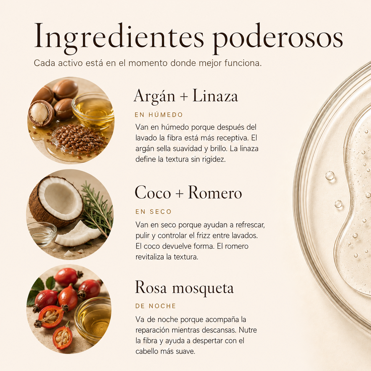 ORIBIO BOX